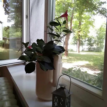 Am Krossinsee 게스트하우스 코니그스부슈터하우젠