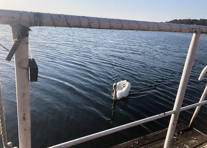 Am Krossinsee Affittacamere *