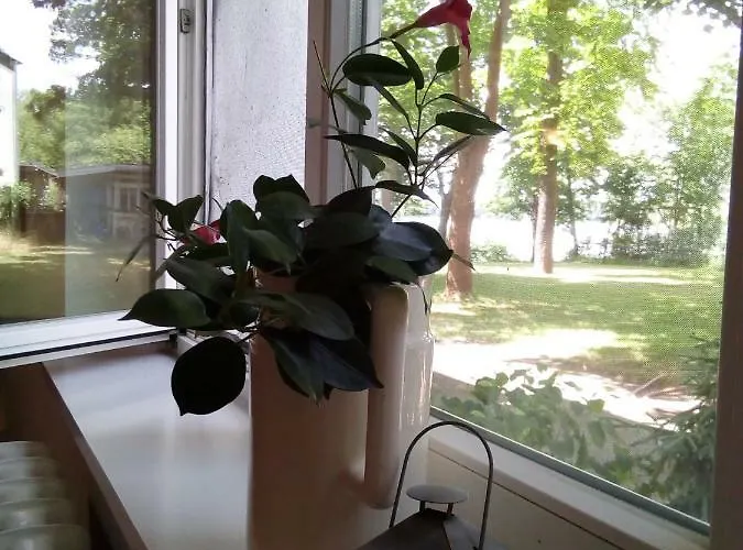 Am Krossinsee Pensionat Königs Wusterhausen